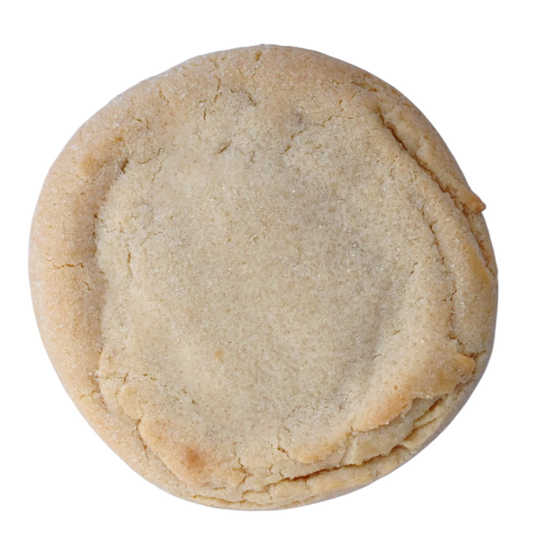 Sugar Cookie